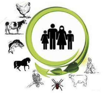 832 عامل بیماری زا از حیوانات به انسان منتقل می شود